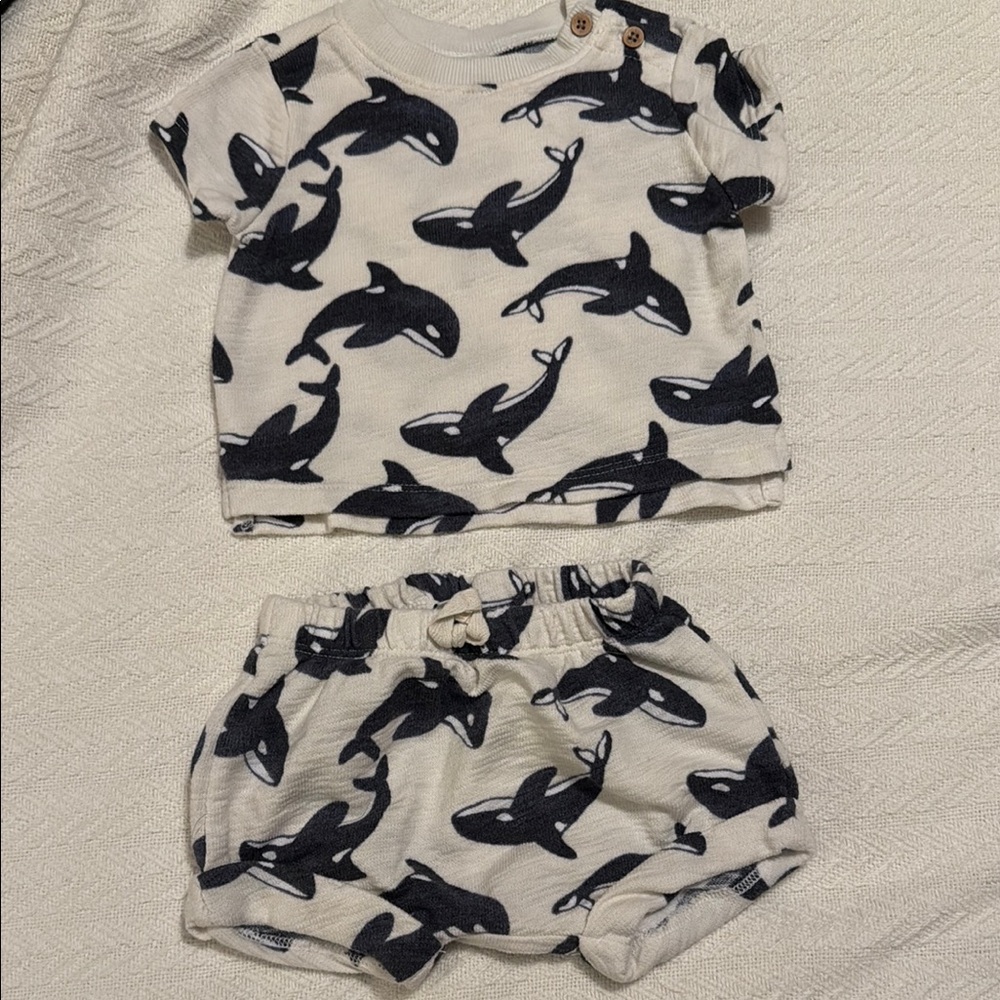 ON Whale Shorts Set